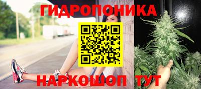 соль ск Канаш