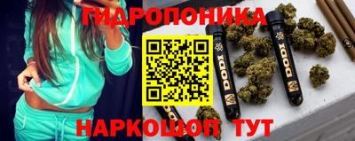 прущие крисы Кандалакша