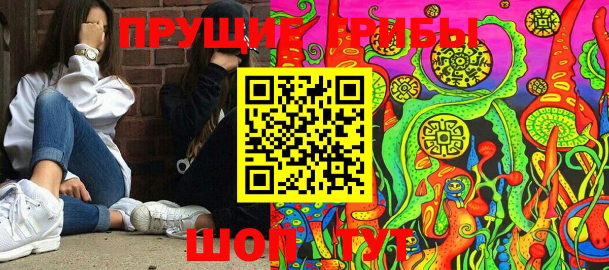 Галлюциногенные грибы MAGIC MUSHROOMS  Вход с VPN  Дзержинск 